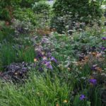 Paving the Way for Naturalistic Planting Design