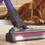 The perfect handheld vacuums for tackling pet hair