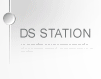 DS Station