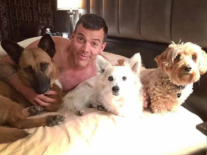 Celebs Cuddling Dogs -- Ruff Life!