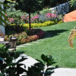Haut 25 Lawn Care Tips for New Jersey Homeowners